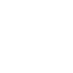 Trade skill Skinning & Tracking in New World
