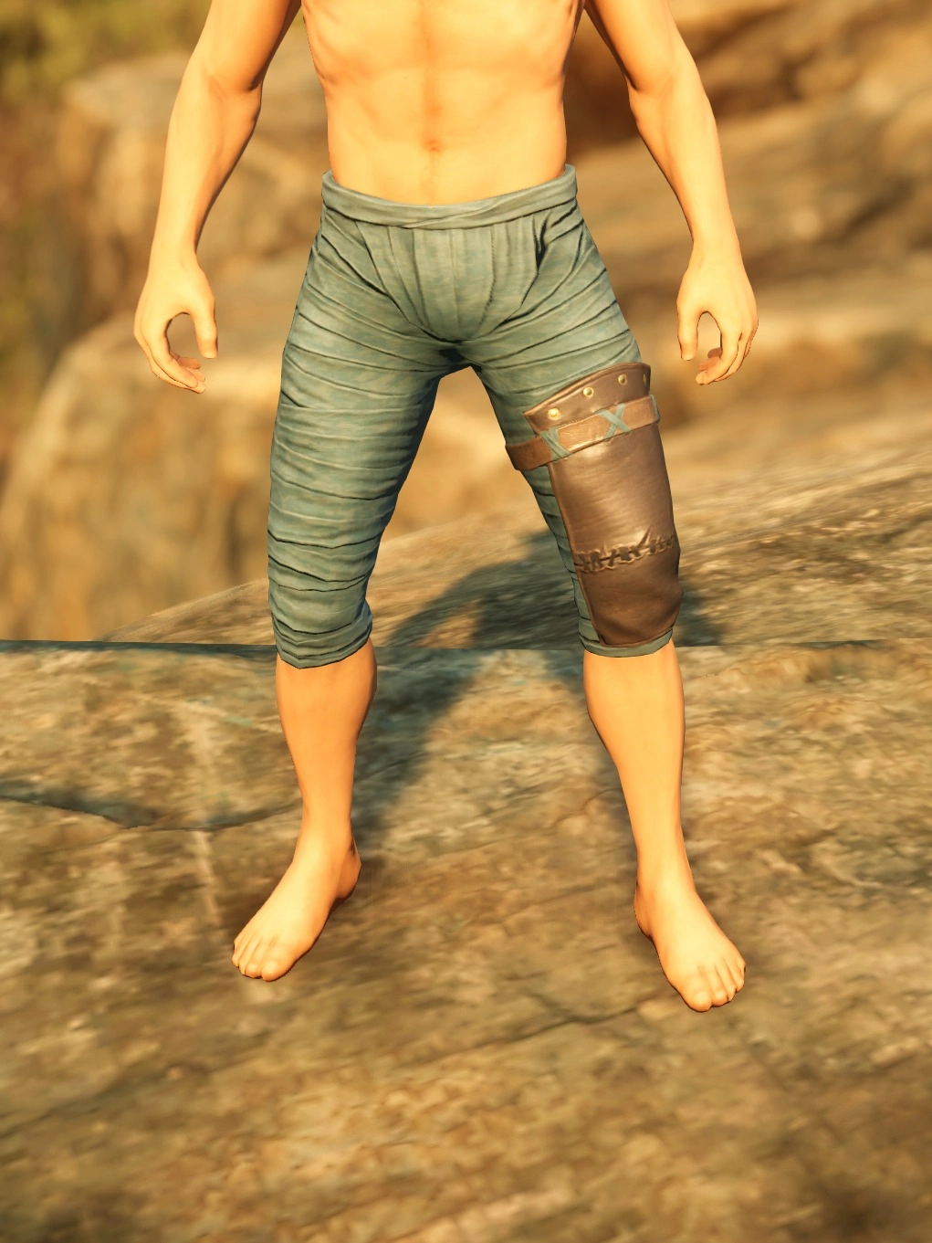 Ancient Leather Pants