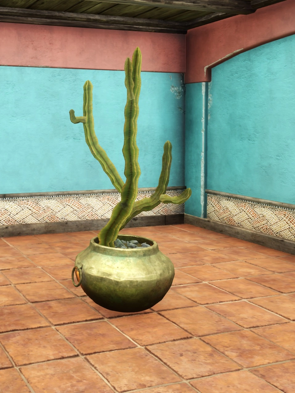 Potted Candelabra Cactus