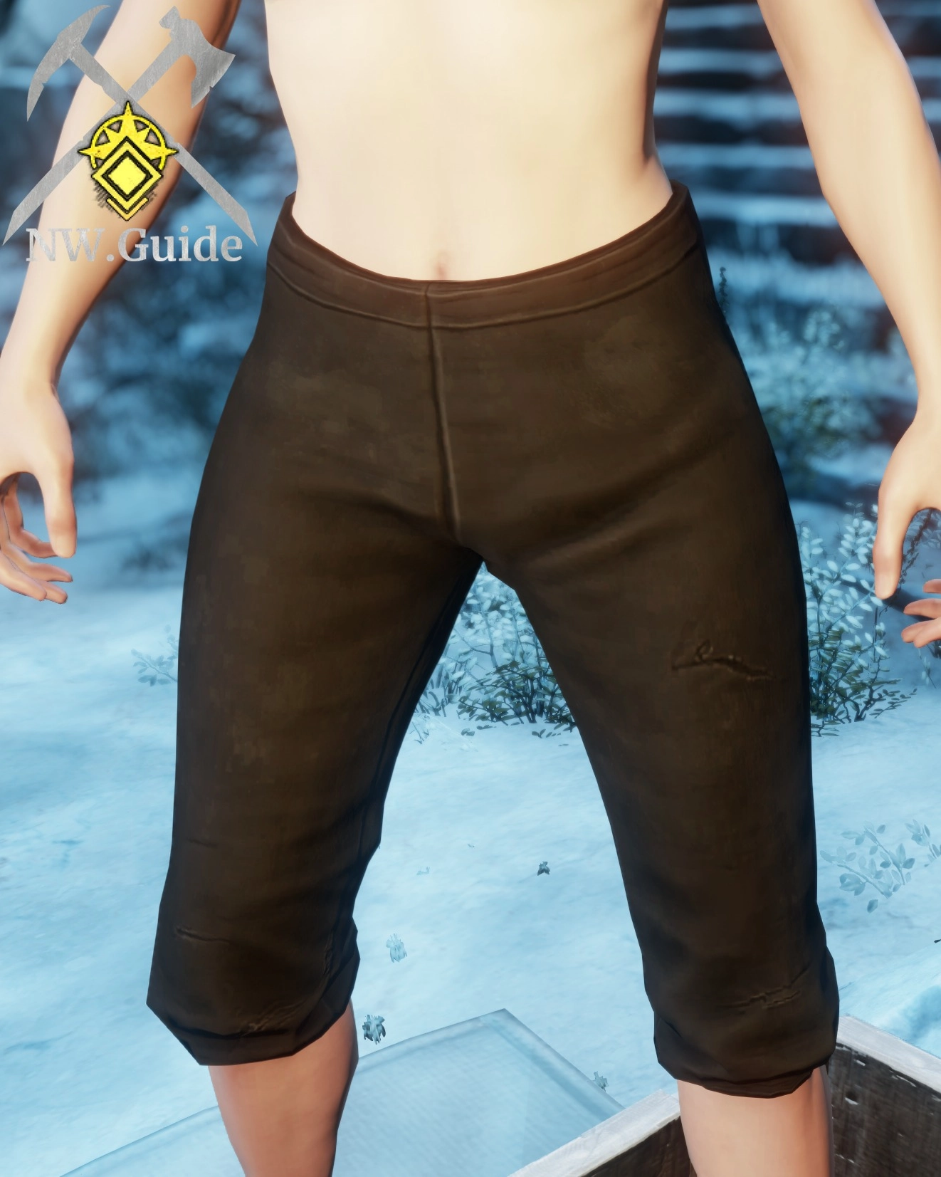 Screenshot of the light legwear tier 5 Shadewalker Leggings