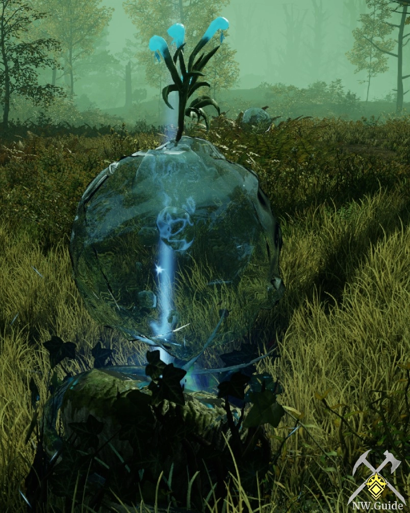 Screenshot of Engorged Rivercress