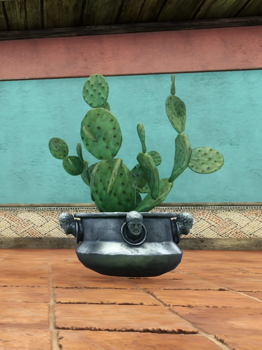 Potted Opuntia Cactus