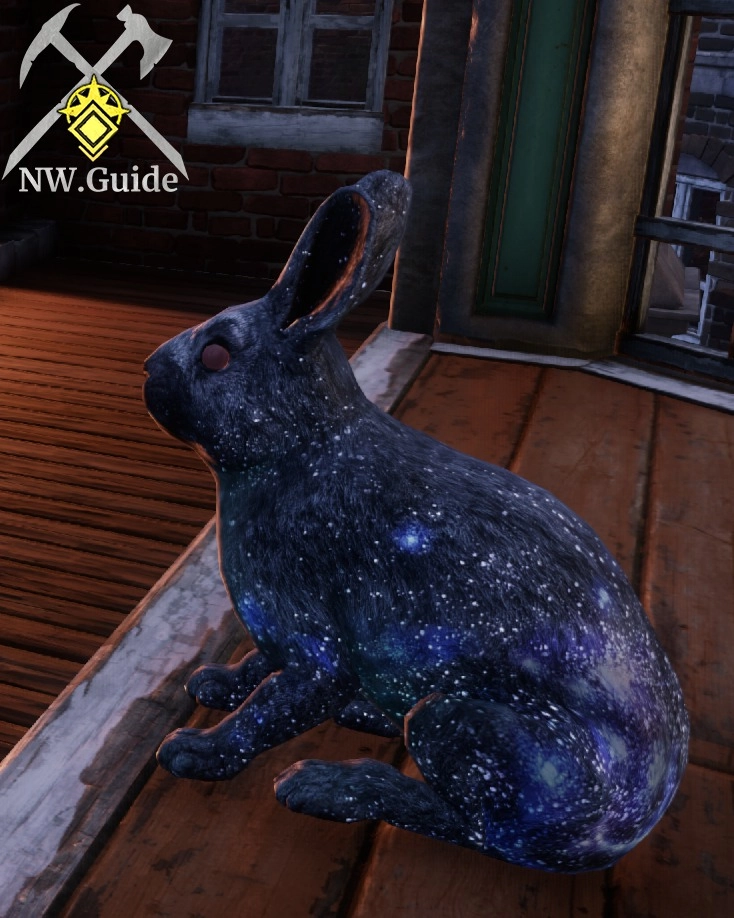 Side view on celestial hare