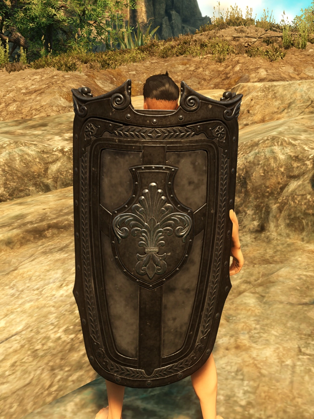 Fortune Hunters Tower Shield