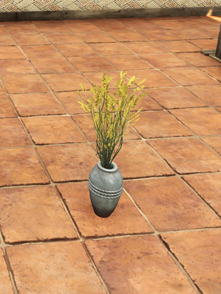 Vase of Desert Senna Flowers