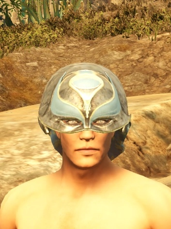 Elegant Warriors Helmet