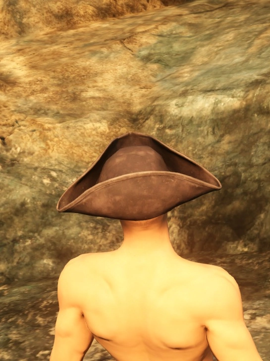 Swashbuckler Hat