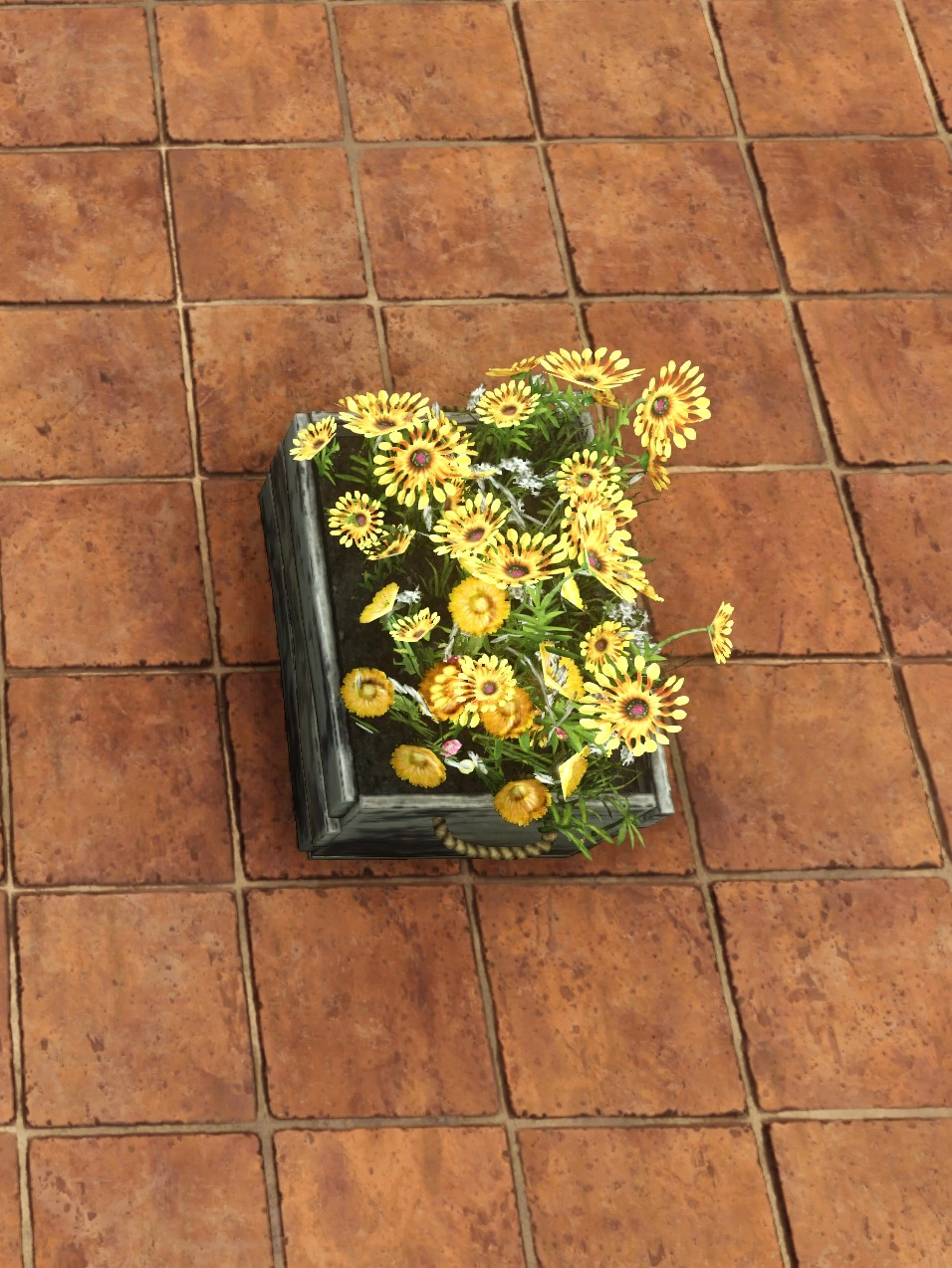 Crate of Flowers