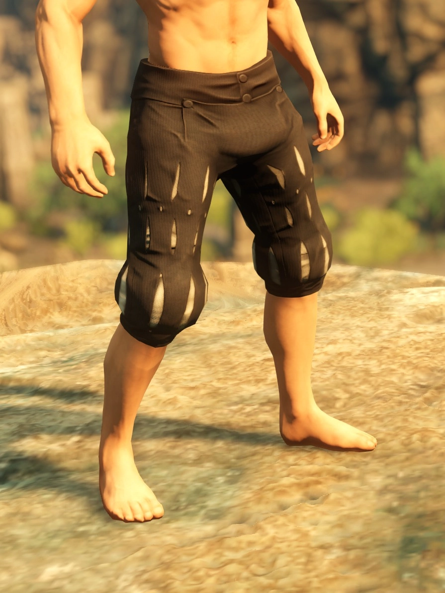 Armorer Pants