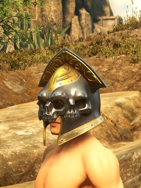 Champion Defender Helm