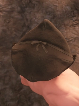 Screenshot of Knowledge Seekers Hat from above