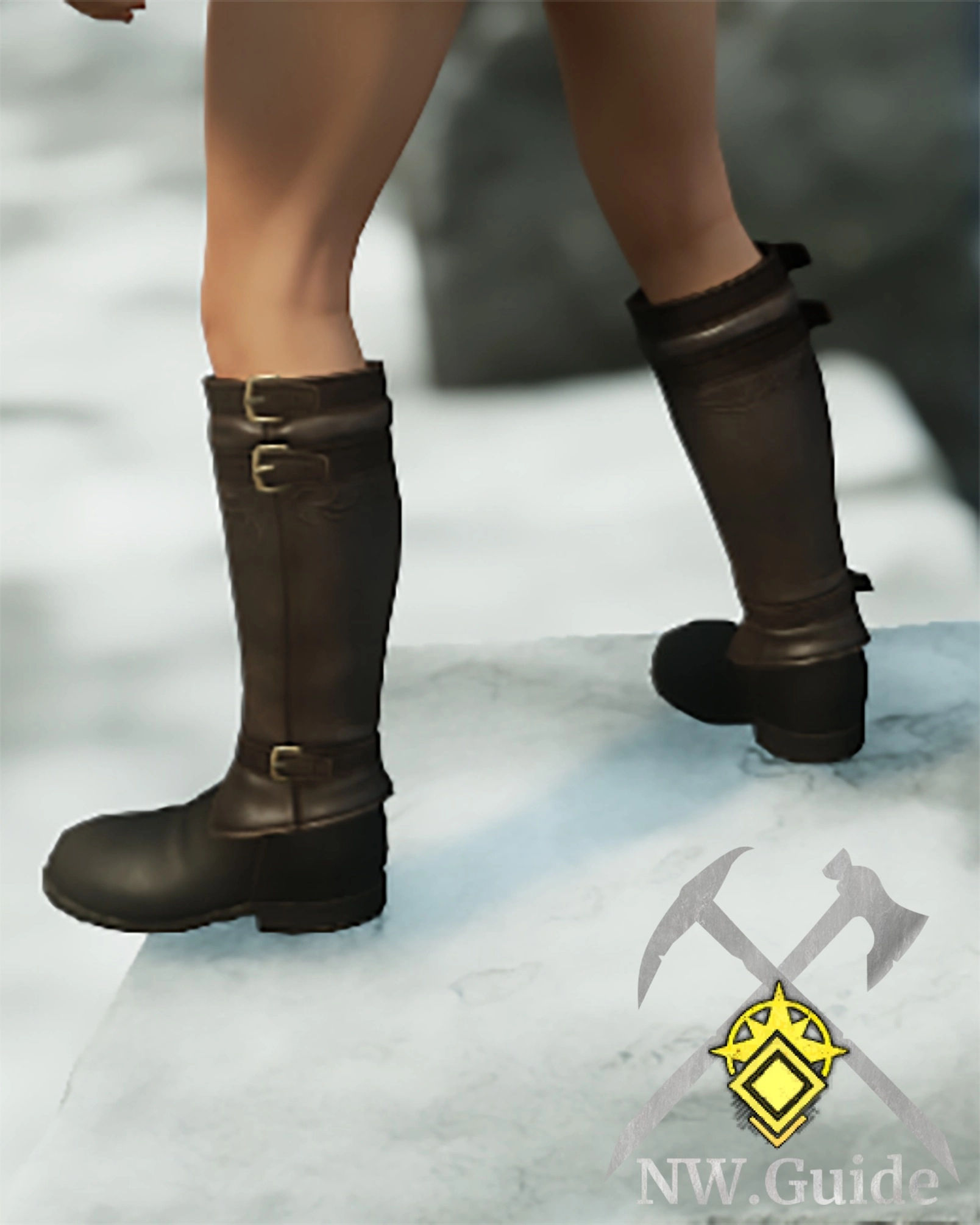 Tempest Guard Shoes farmed in Tempest heart expedition 