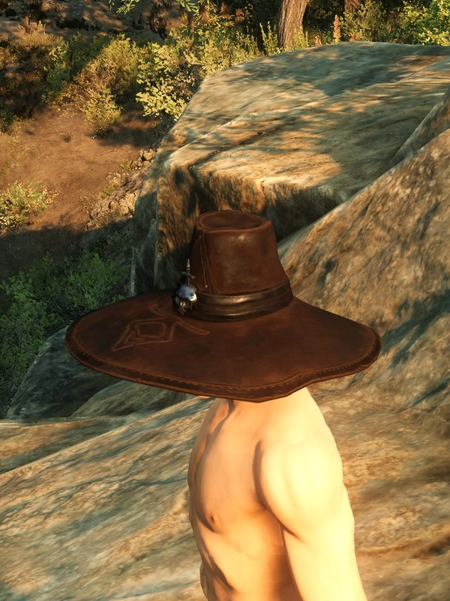 Sorcerer Hunter Hat