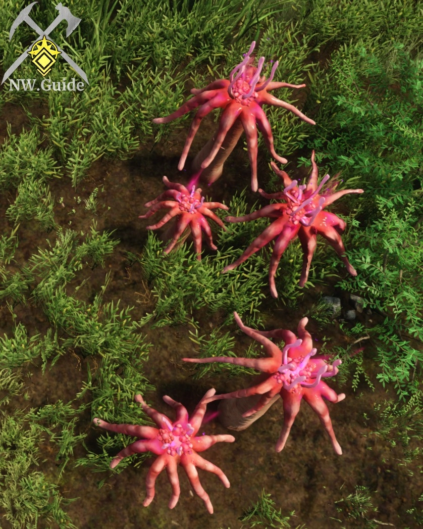 Screenshot of few Tendrilspines from the above