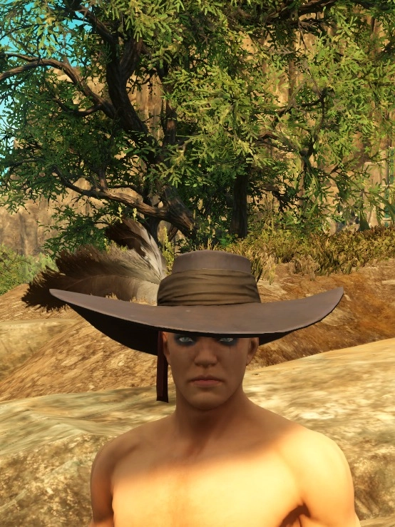 Tainted Hat