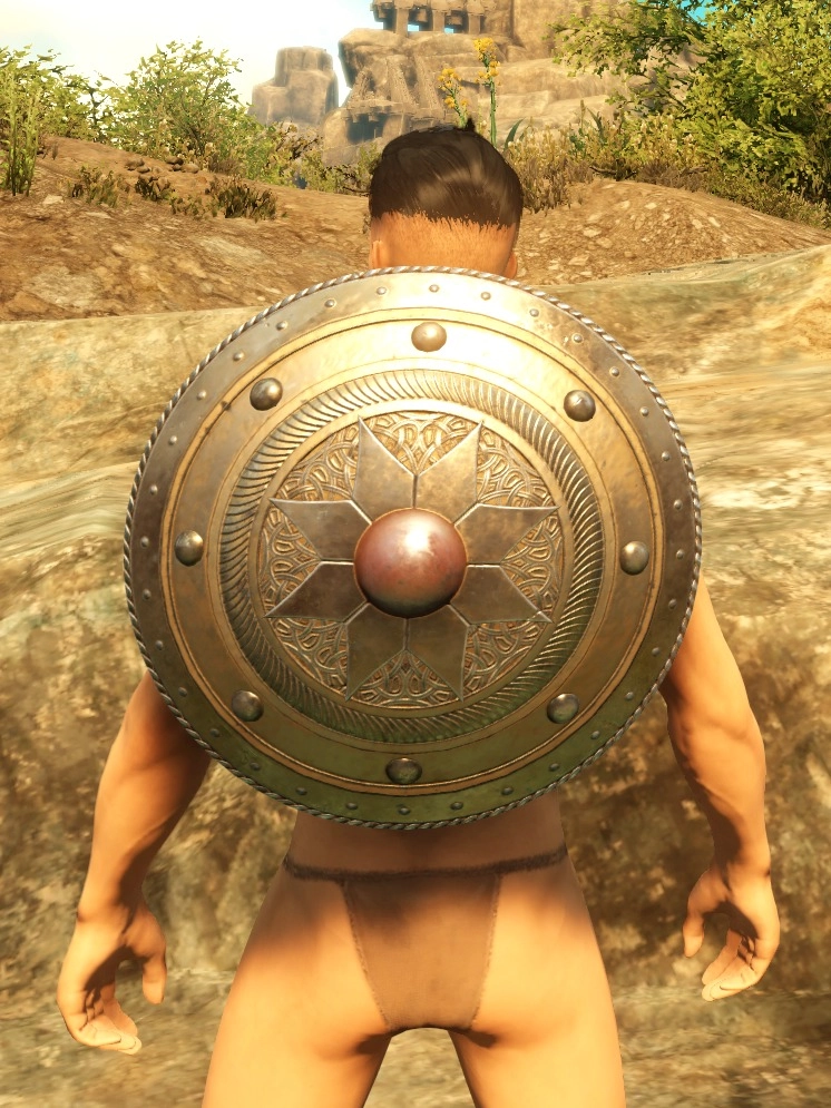 Ancient Round Shield