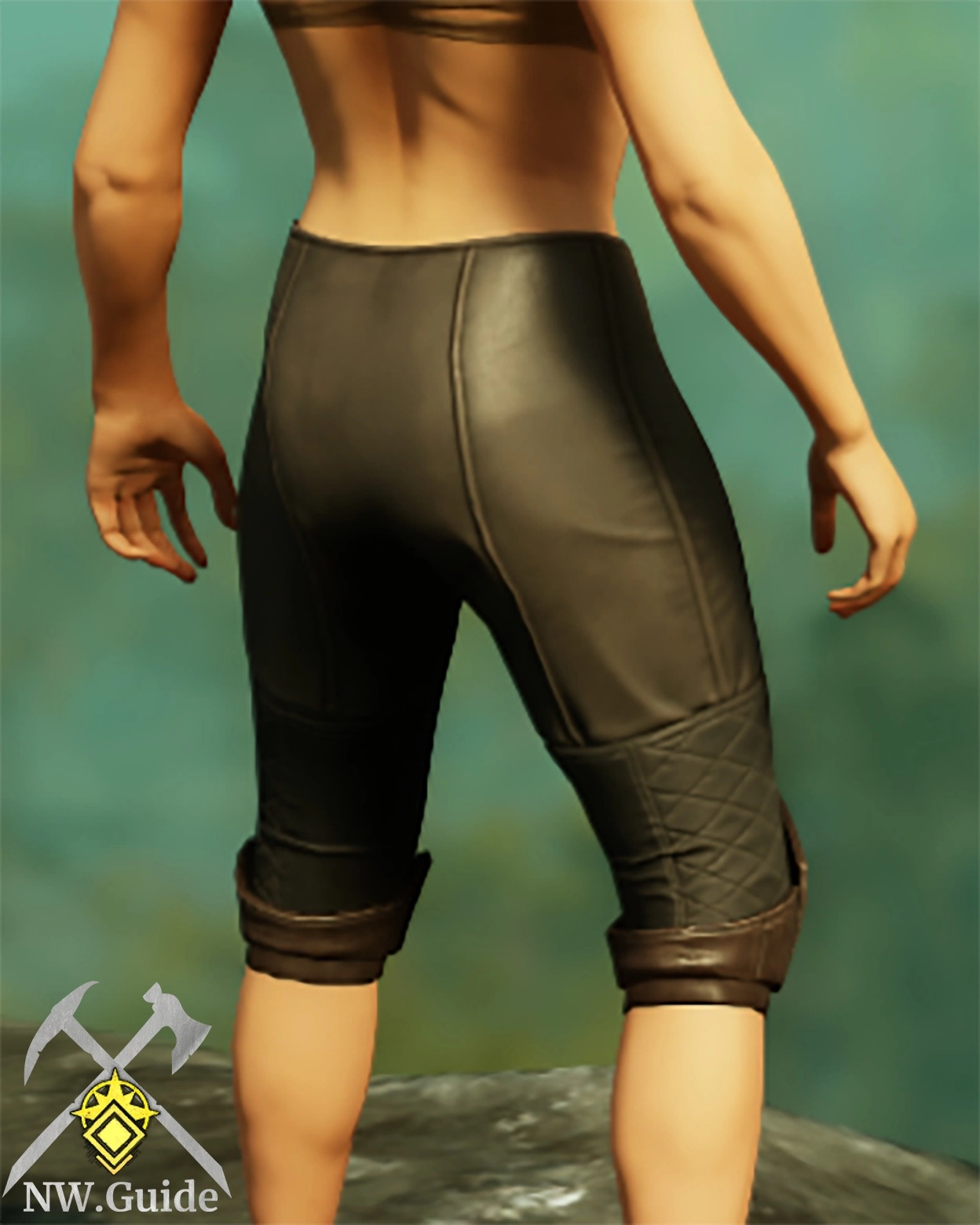 Screenshot of the back of the Tempest Guard Leggings T5