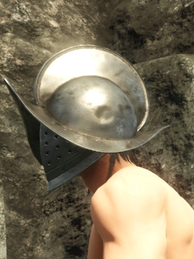 Plate Helm T3 Side View Photo