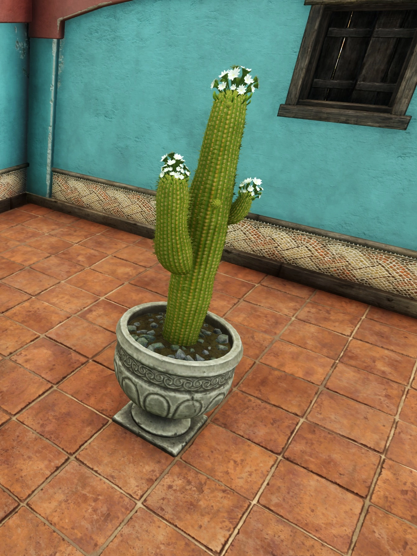 Potted Saguaro Cactus