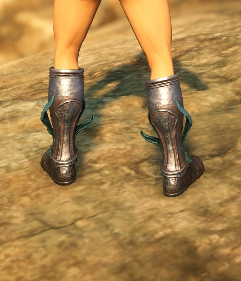 Raider Boots