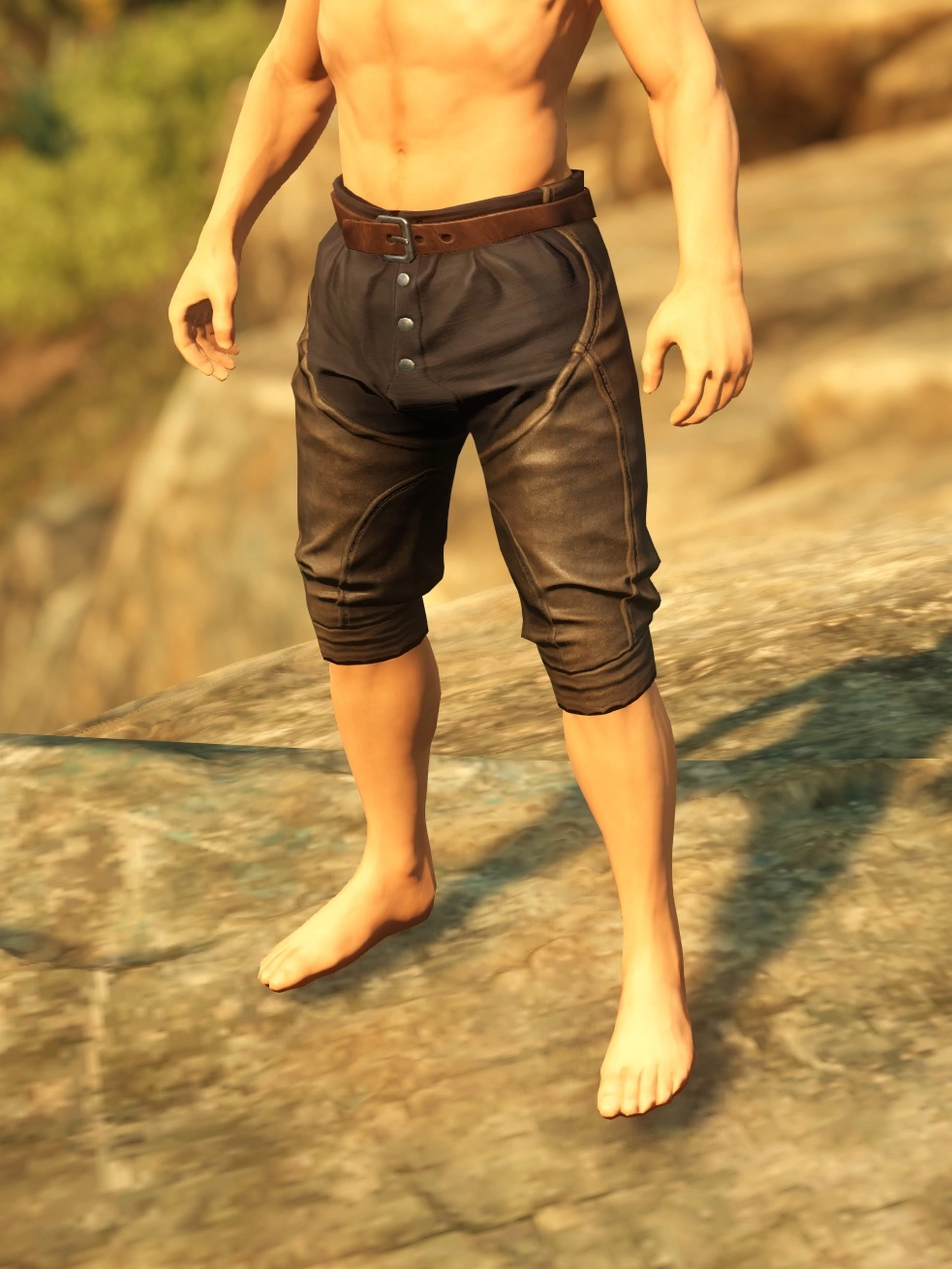 Wanderers Pants