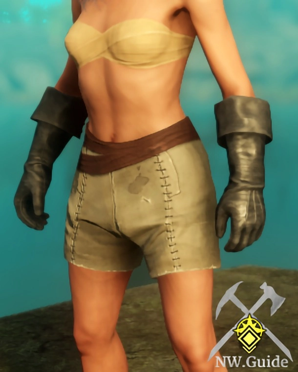 Screenshot of character using Engineer Gloves T4