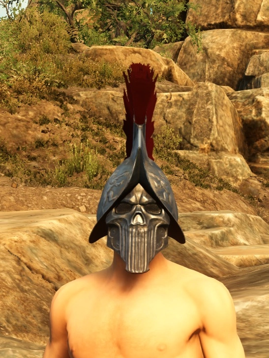 Fortune Hunters Plate Helm