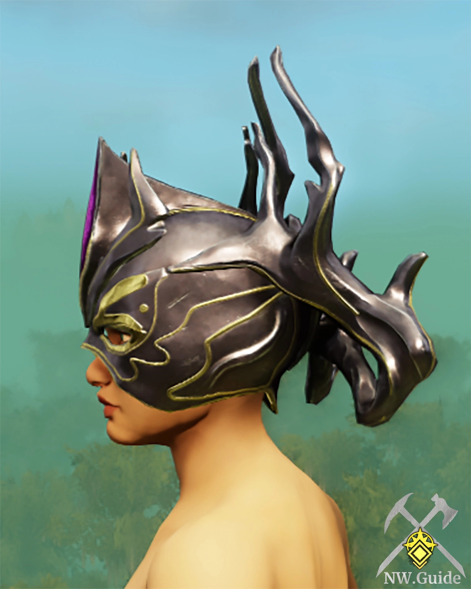 Photo of the Immemorial Helm T5