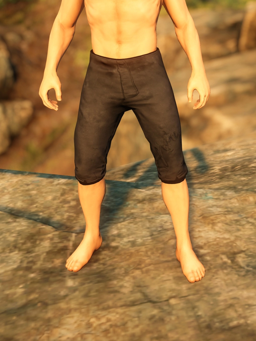 Pirate Gunslinger Pants