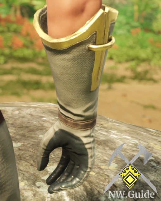 Screenshot of the back of Immemorial Cloth Gloves