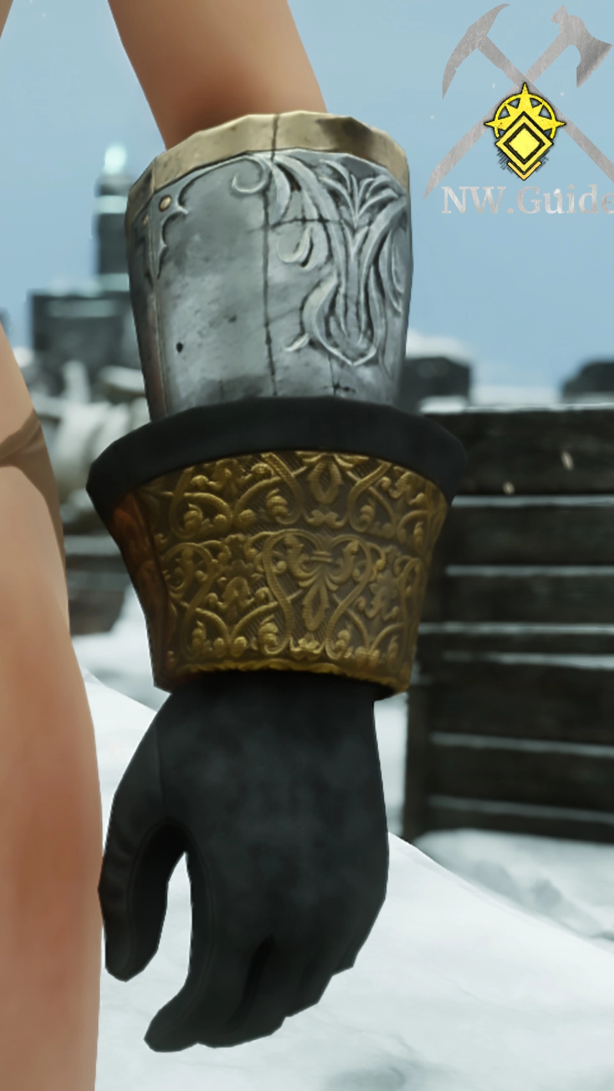 Tempest Guard Gloves farmed in Tempest Heart dungeon