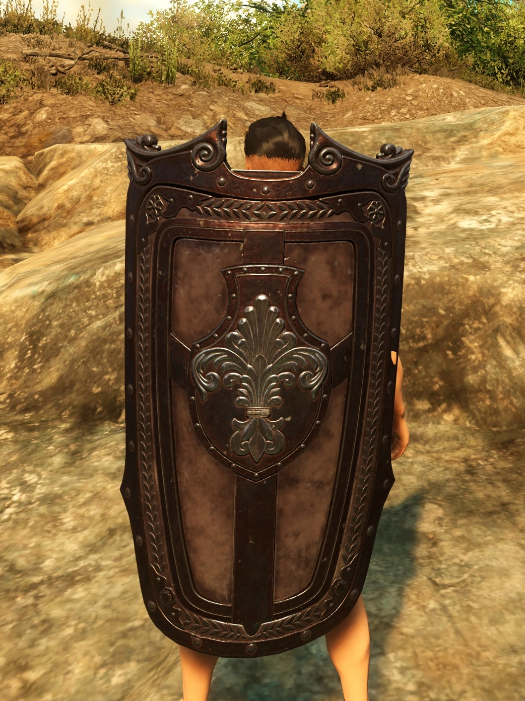 Darkened Tower Shield