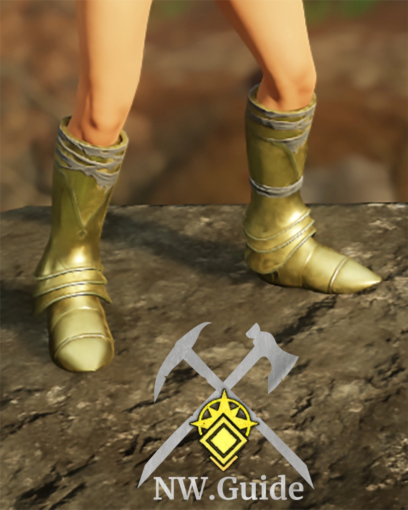 Photo of the Guardian Plate Boots T5 old chardis model