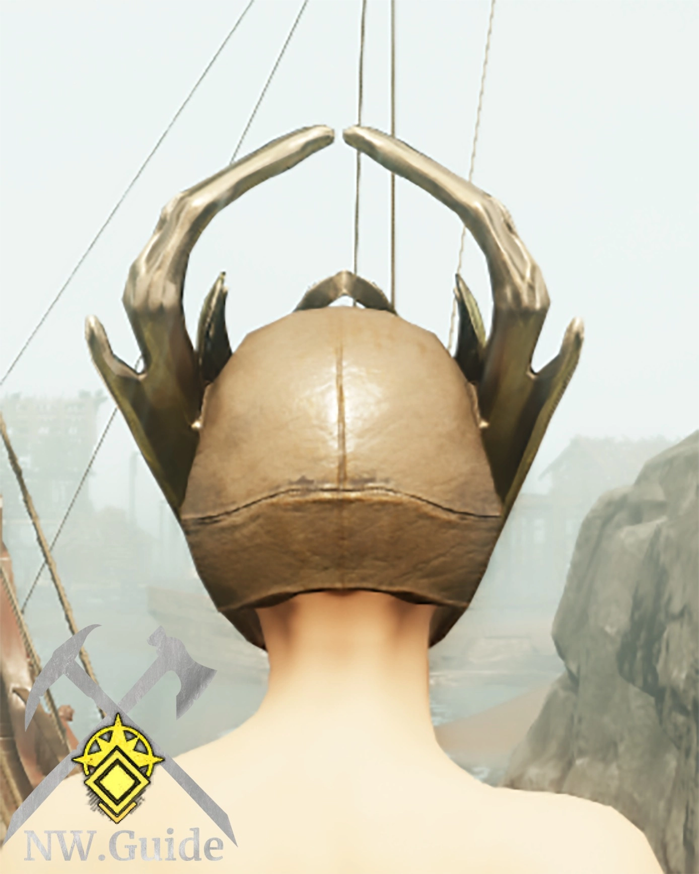 Screenshot of the Immemorial Leather Hat from the back