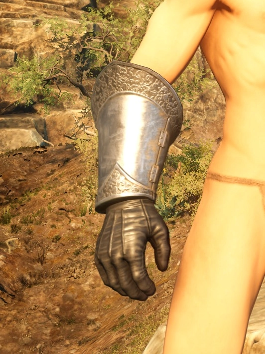Fortune Hunters Plate Gauntlets