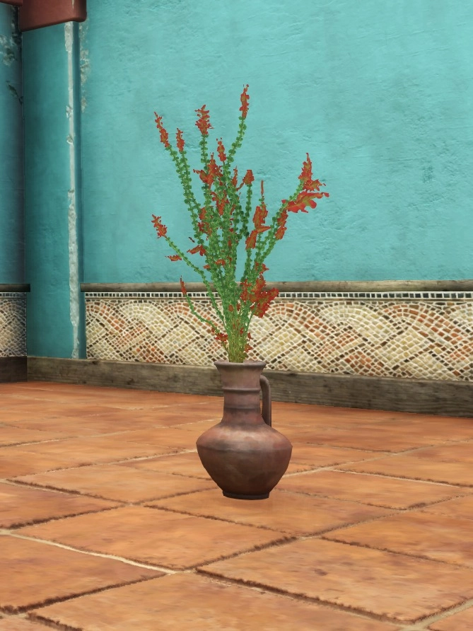 Vase of Ocotillo Flowers