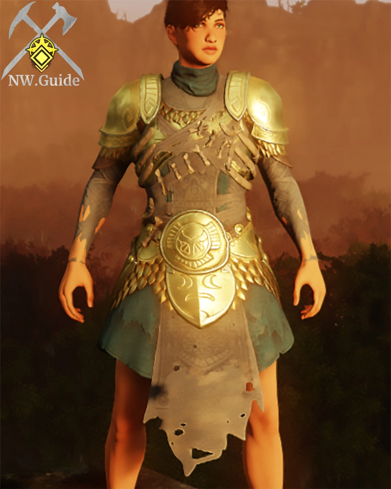 Photo of Guardian Spearmarshal Coat T5