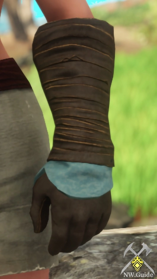 Close high quality photo of Ancient Leather Gloves