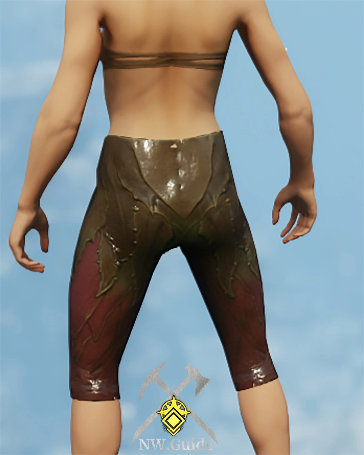 Photo of the back of the Blighted Growths Pants