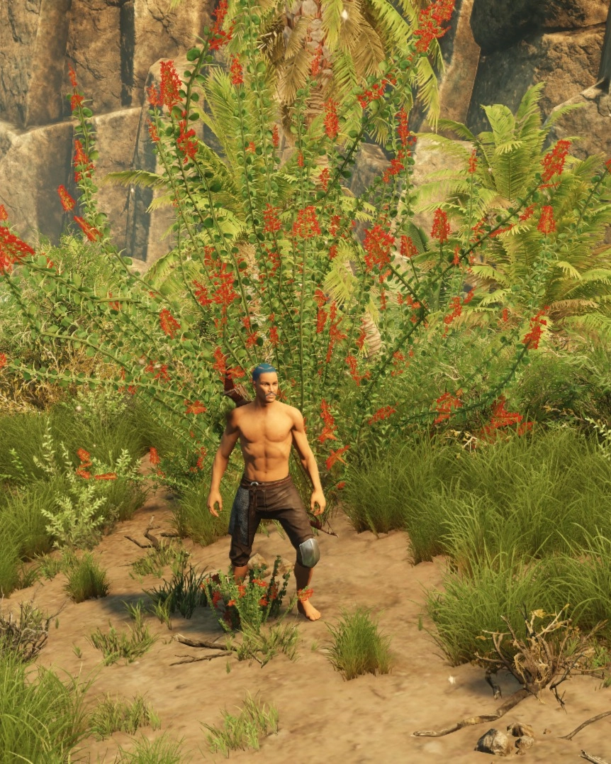 Screenshot of Large bush of herbs in Brimstone