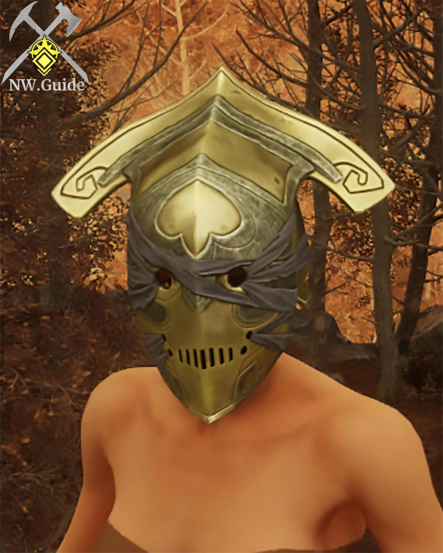 Screenshot of the Guardian Spearmarshal Hat T5 from Lazarus