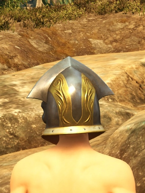 Champion Defender Helm