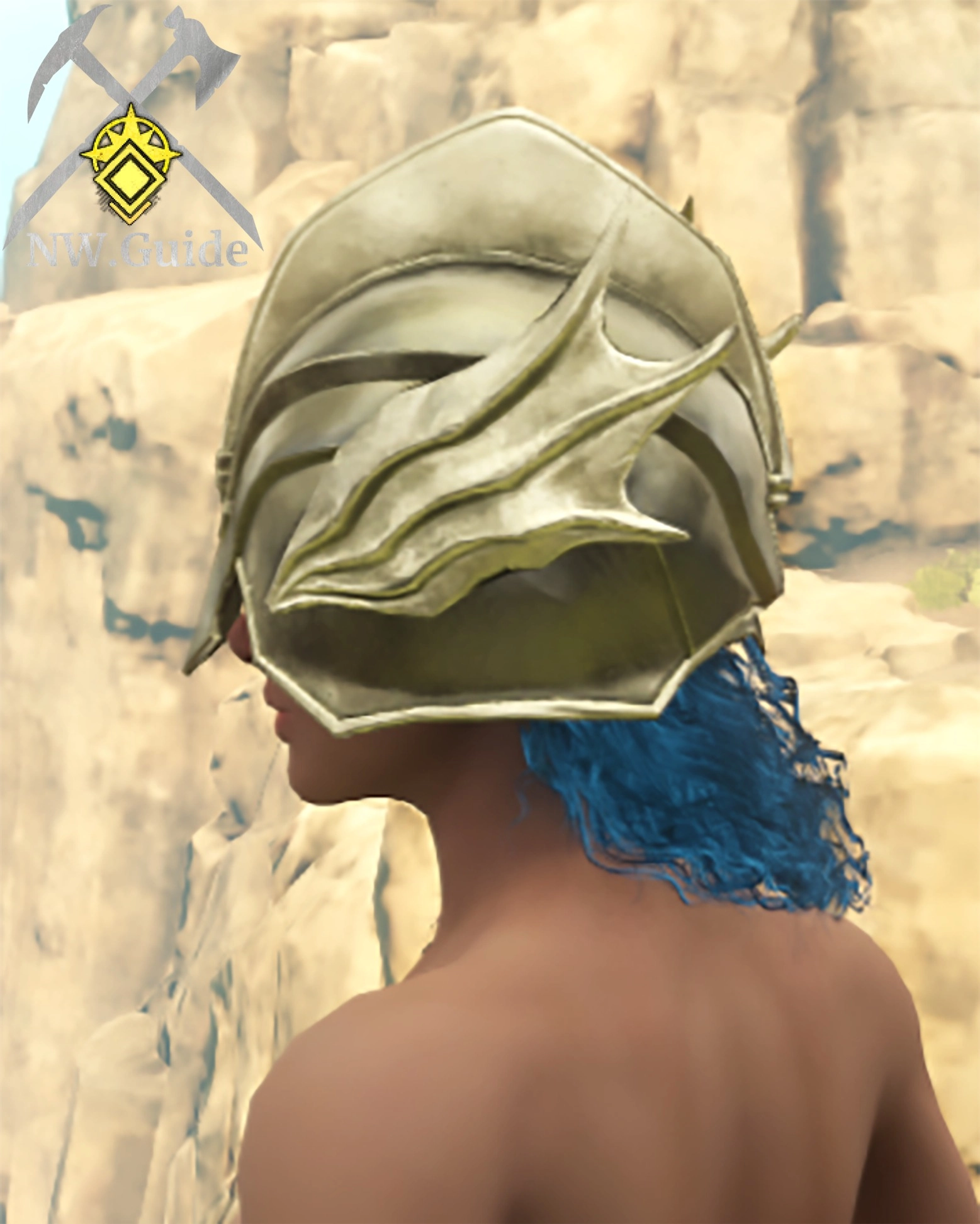 Photo of the Toughened Leather Helm T2