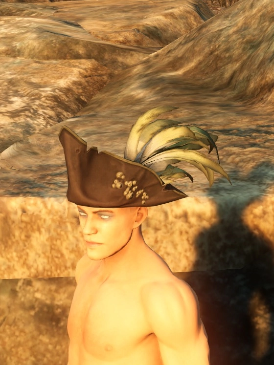 Pirate Gunslinger Hat