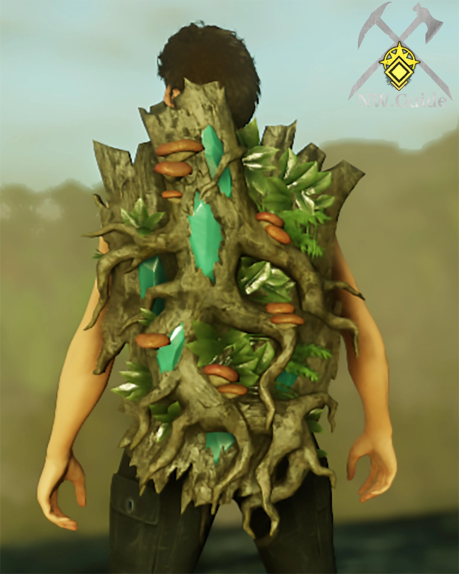 Arena cache reward Dryad Kite Shield T5