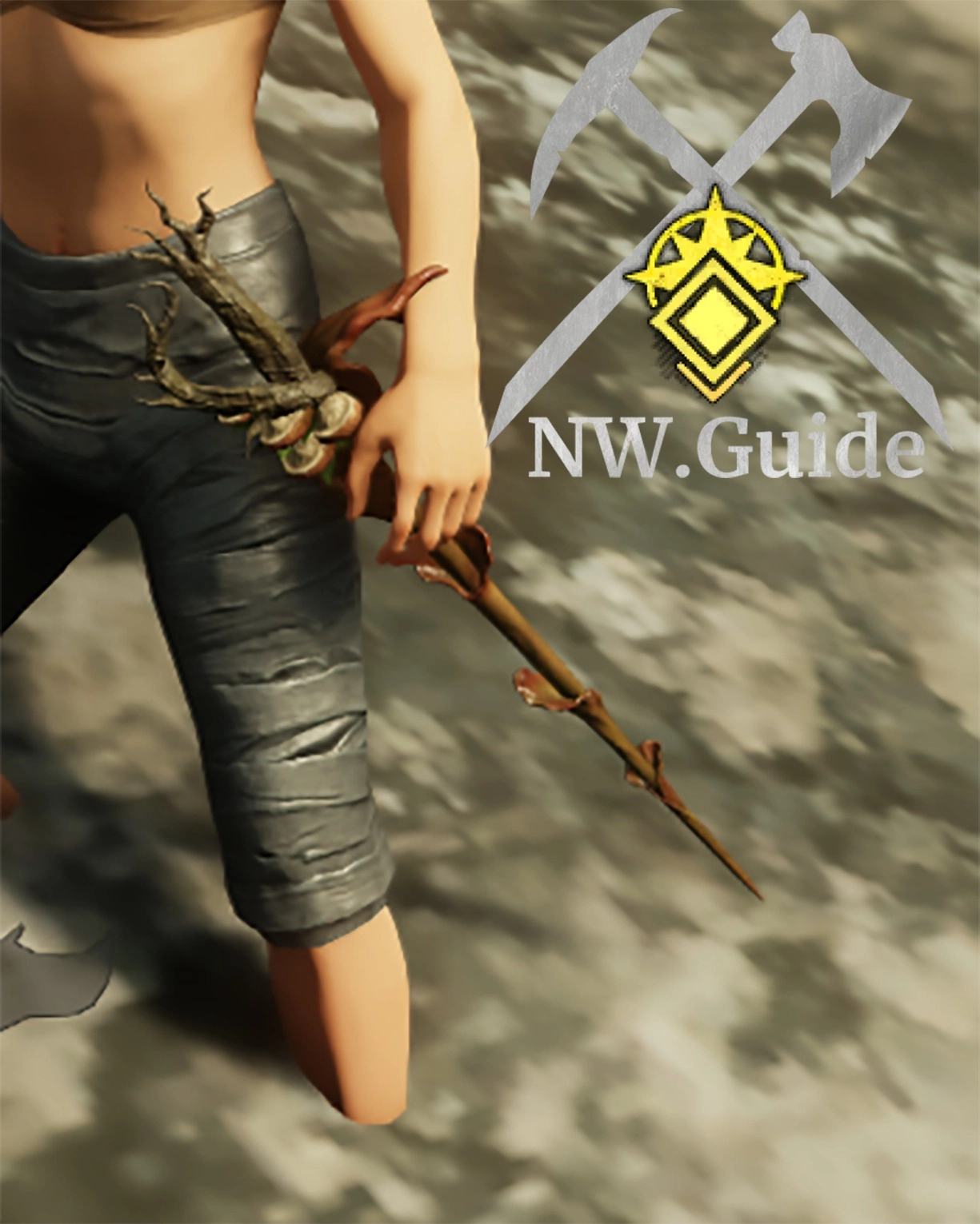 Photo of the Dryad Rapier T5