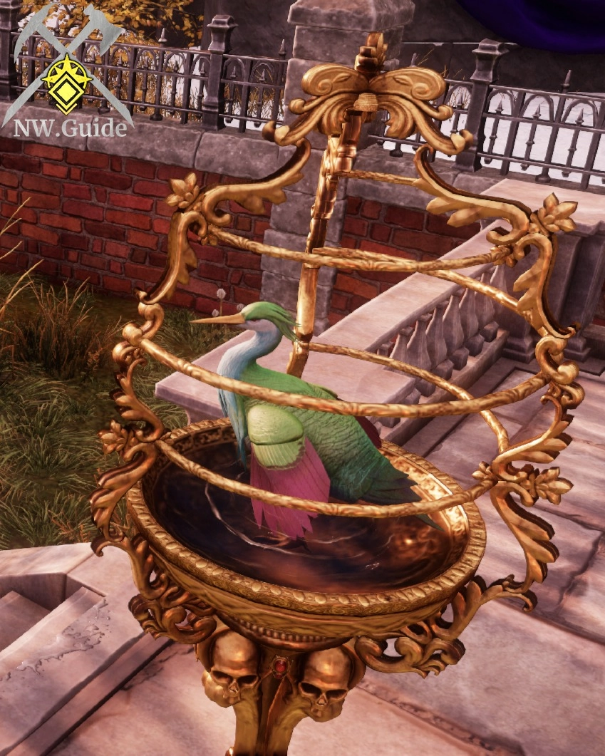 Closeup photo of bird in Pirate Birdbath
