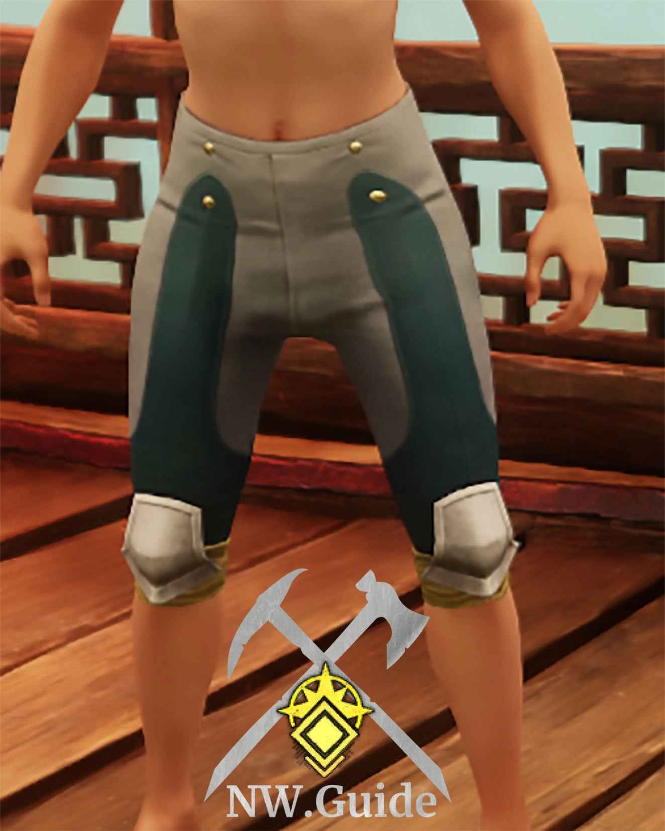 Screenshot of the Immemorial Cloth Pants T5