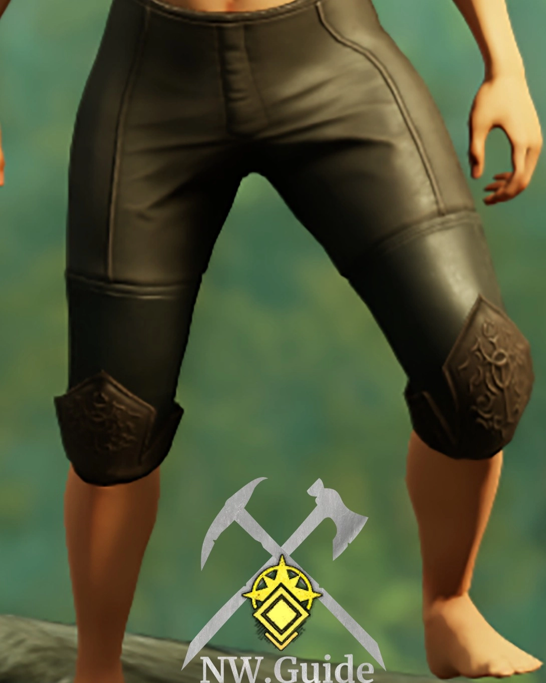 Screenshot of Tempest Guard Leggings T5