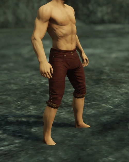 Highwaymans Breeches